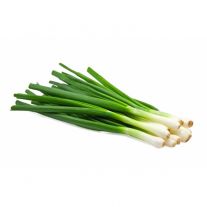 Cibuľka zväzková 1 zväzok / Jungzwiebel