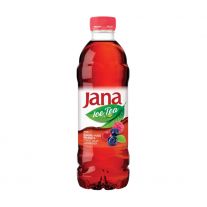 Jana Ice tea lesné plody 0,5l
