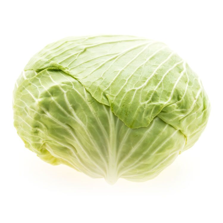 Kapusta biela skora 1ks l.