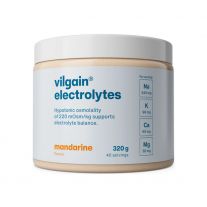 Vilgain Elektrolyty mandarínka 320 g