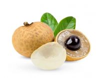 Longan l.