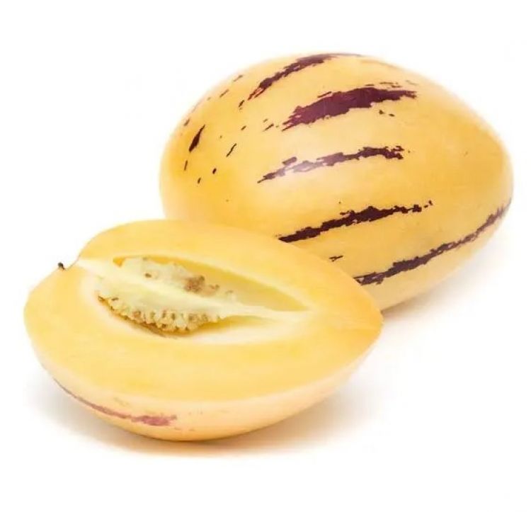 Melón Pepino l.