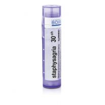 STAPHYSAGRIA 30CH granule 4 g