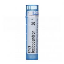 RHUS TOXICODENDRON 30CH granule 4 g