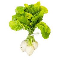 Reďkovka biela 1zvazok l.