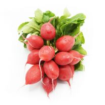 Reďkovka červená 1 zväzok I. /Raddieschen