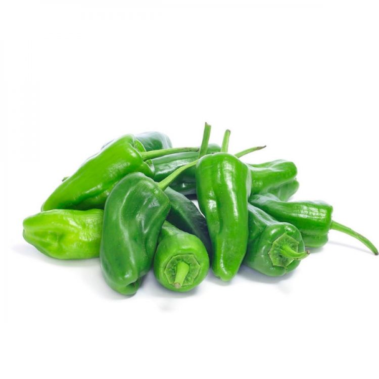 Paprika Pimientos de Padron 200g