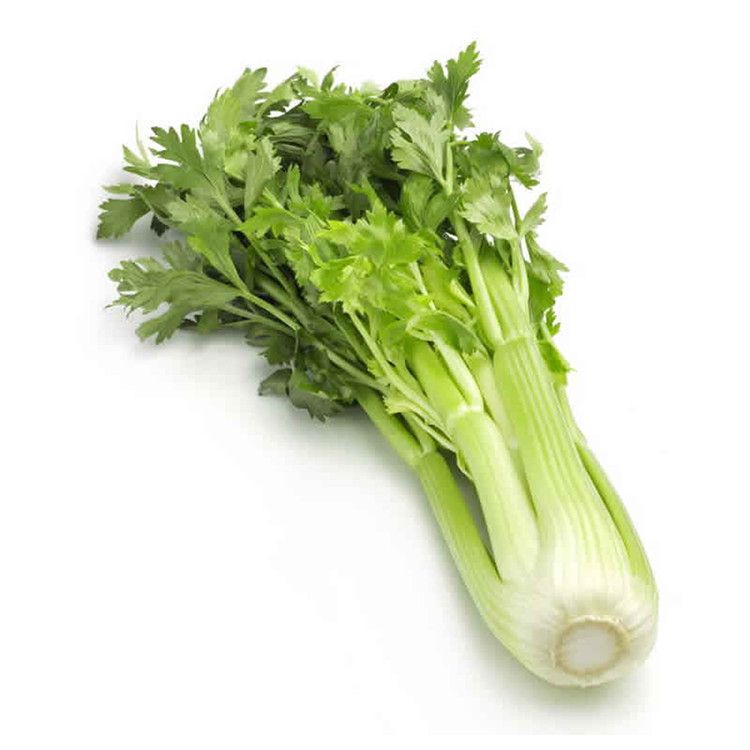 Zeler stopkový sedano 500g / Stangensellerie 500g