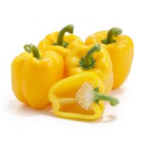 Paprika žltá 1ks kal.GG l. / Paprika gelb