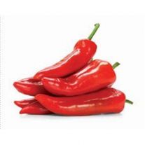 Paprika červená kápia 1ks kal.50+ I. / Spitzpaprika rot