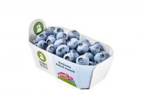 Čučoriedky od Dobrého Ježka 125 g