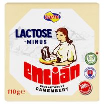 Tami Encián Lactose minus Camembert 110 g