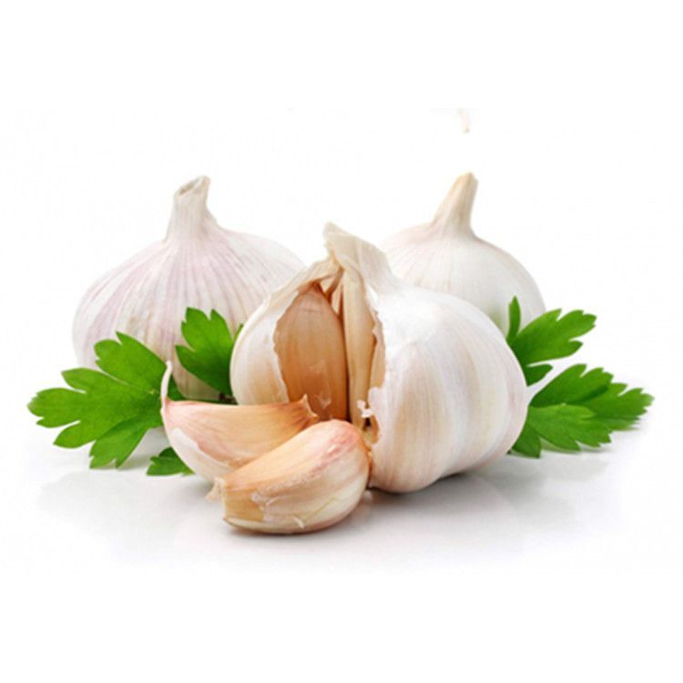 Cesnak voľný 1ks 55+ / Knoblauch