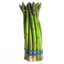 Špargľa zelená balenie 500g / Spargel grun 500g