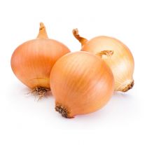 Cibula žltá 1ks kal.60+ l. / Zwiebel gelb