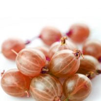 Egreše 250g / Stechelbeeren