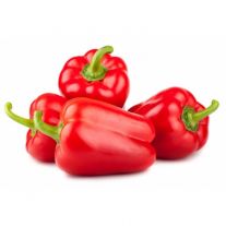 Paprika červená 1ks kal.GG l. / Paprika rot AT