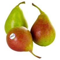 Hruška Q-tee 1ks 63+ l.
