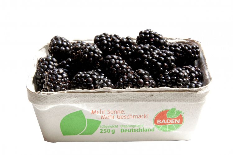 Černice 250g / Brombeeren 250g