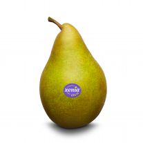 Hruška zelená Xenia 65+ l.