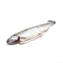 Rybárstvo Požehy Dubové Pstruh dúhový pitvaný čerstvý