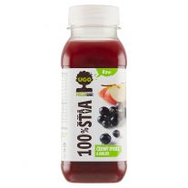 Ugo Čierne ríbezle, jablko 250 ml