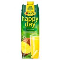 Rauch Happy Day 100% ananás 1 l