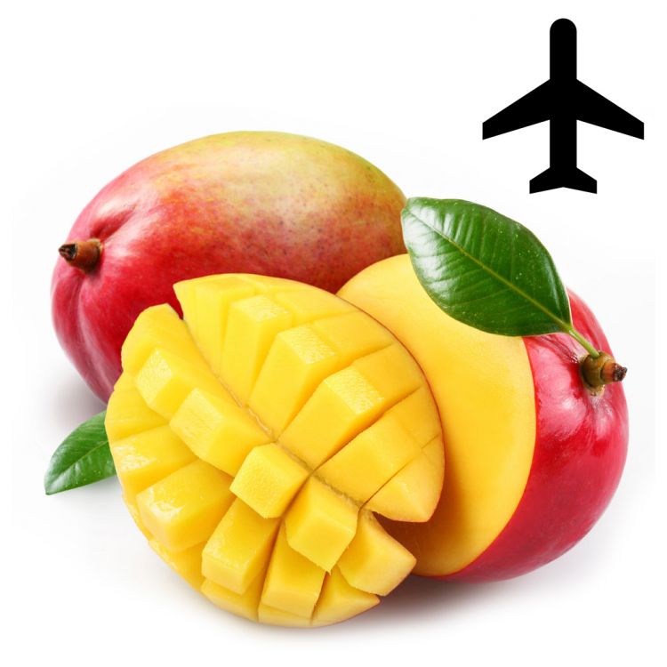 Mango letecké 1ks kal.9 l. / Mango flug KENT