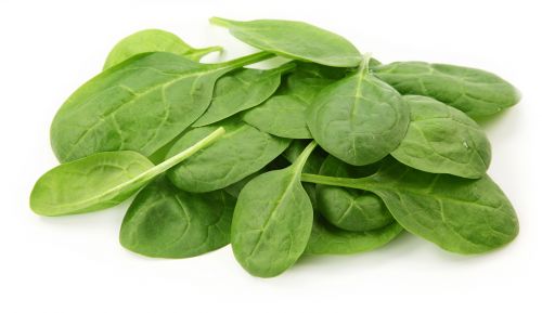 Top surovina