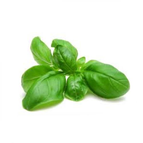 Top surovina